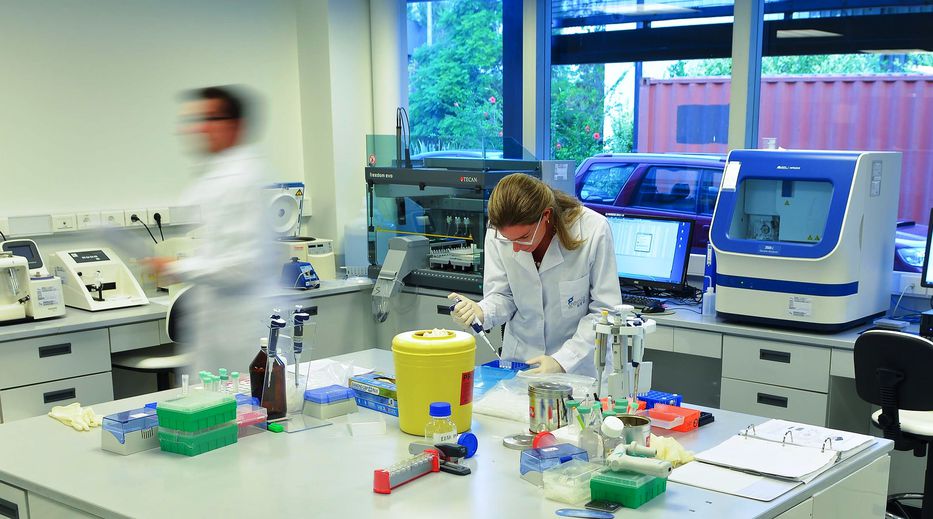 En busca de genes alterados