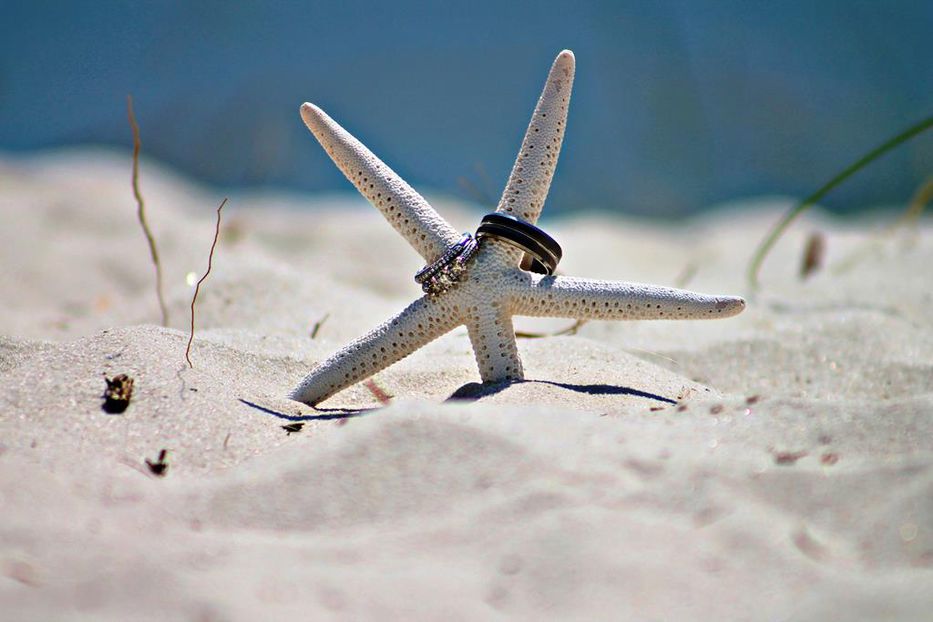 No culpes a la playa