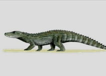 Nació en el Mediterráneo