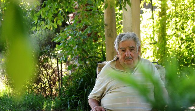 La columna del Pepe