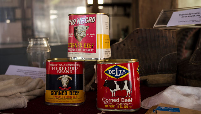 Historia hecha carne