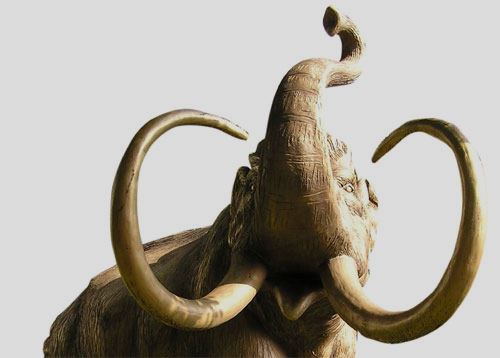 El mamut chiquitito