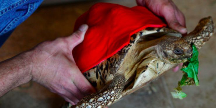 Del derecho y del revés