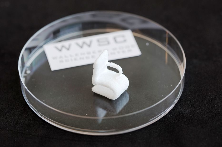 El árbol caído sigue dando frutos