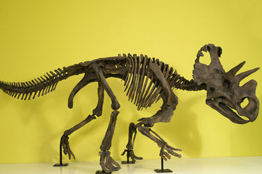 El último en saberlo