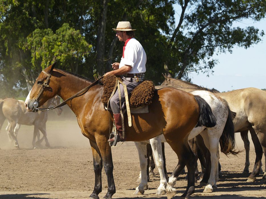 Montevideo recibirá el congreso internacional de las tradiciones gauchas