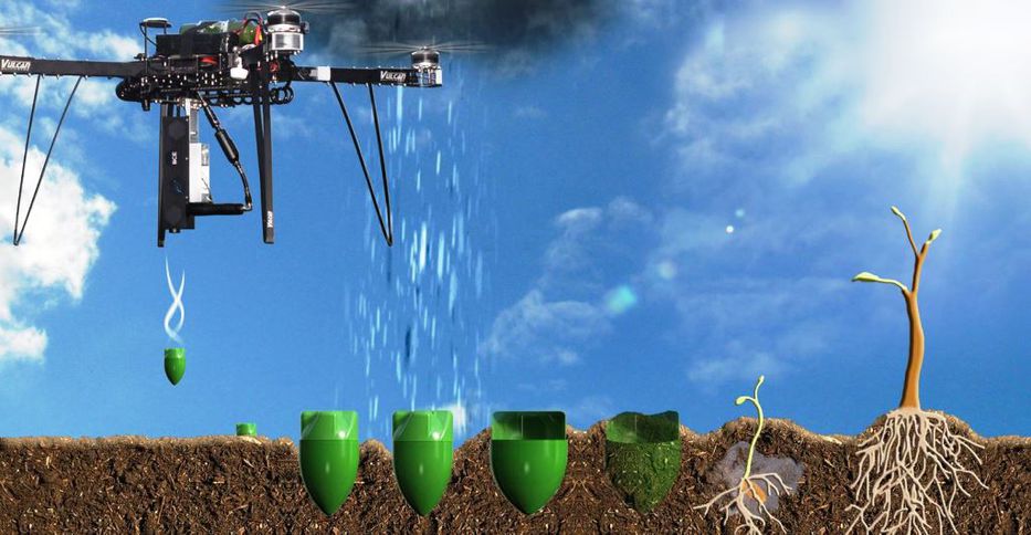 Bombarderos verdes