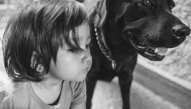 Lo que se hereda no se roba