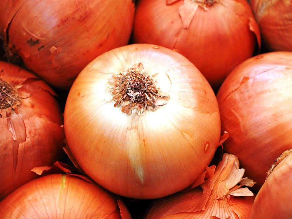 Contigo pan y cebolla