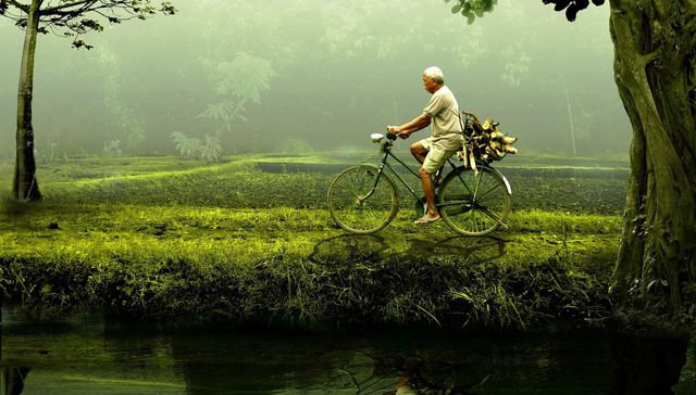 Hijos de la pachamama