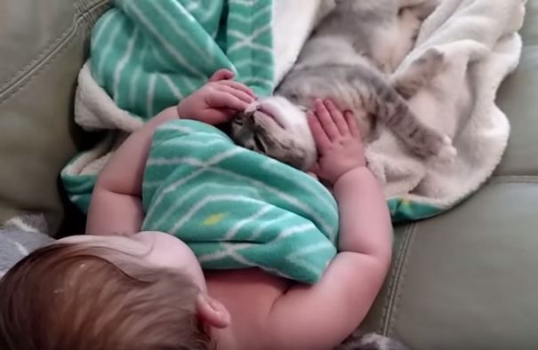 Qué fantástica esta siesta