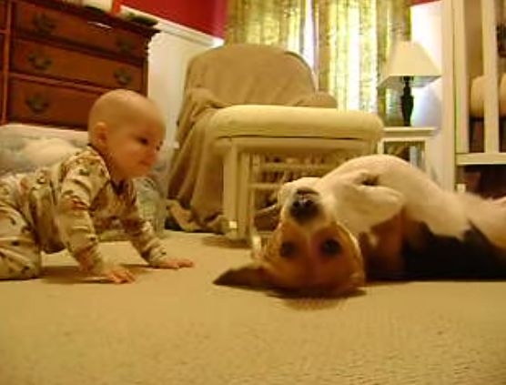 Encantados de conocerte