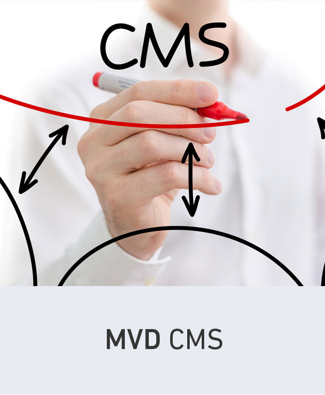 imagen del contenido MVD CMS