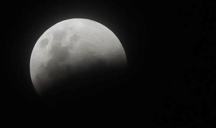 Buenas noches, querido conejo