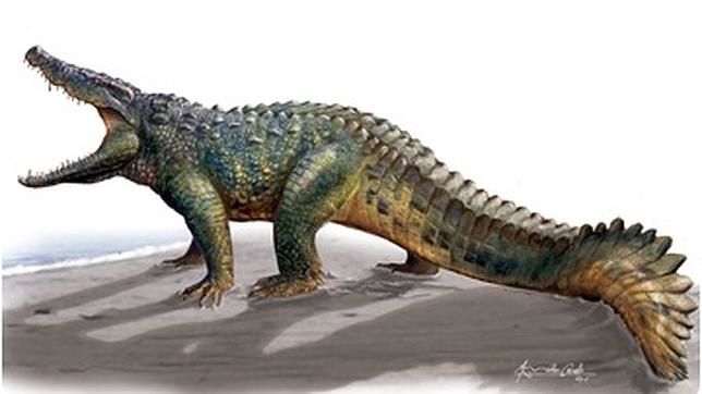Bautizan “Hulk” a un robusto cocodrilo prehistórico hallado en España