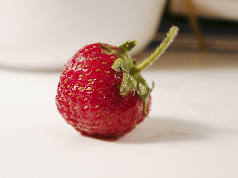 Strawberry fields forever