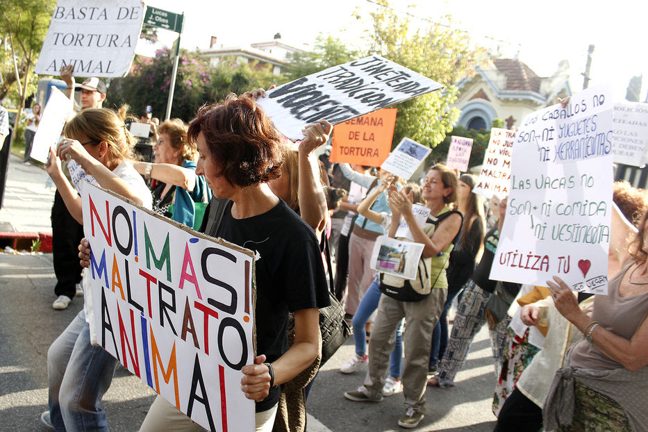 Manifestación de los defensores de los derechos de los animales en Plaza Independencia