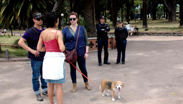 A cara de perro