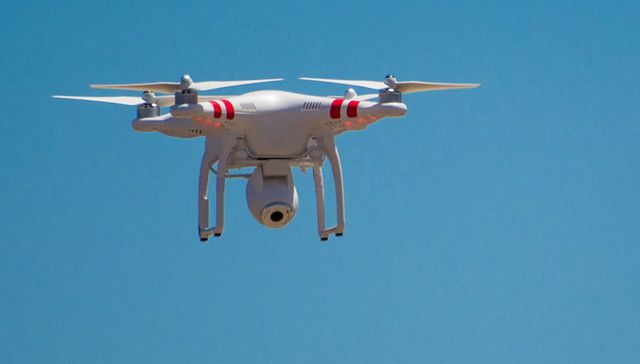 Moscardón de plástico