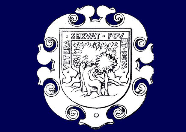 Escribir la historia