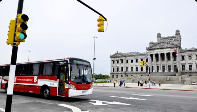 Luz verde