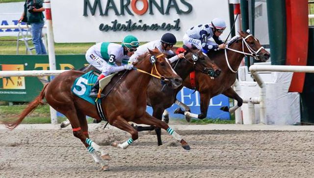 En las gateras para largar