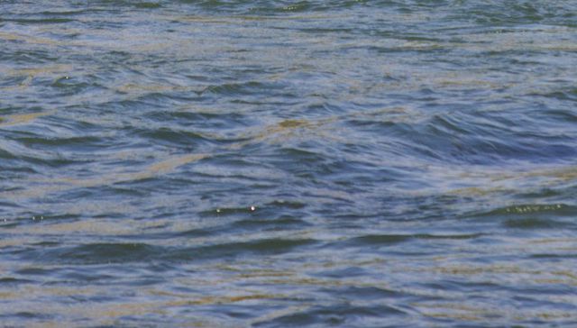 La pequeña mancha de Rolando