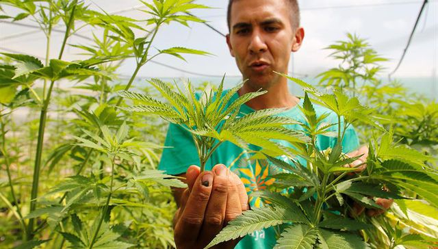 Botánica es cultura