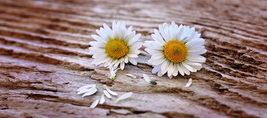 Me quiero mucho, poquito...