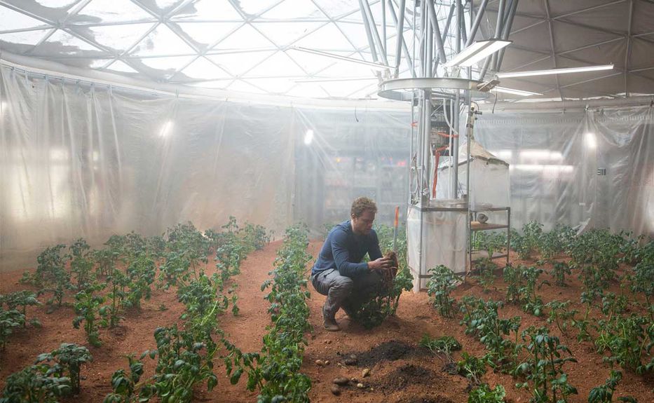 Experimento buscará probar si la papa peruana se puede cultivar en Marte