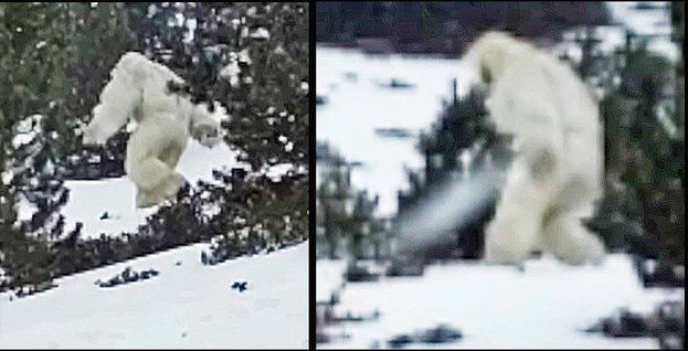 Salpicado de sospechas