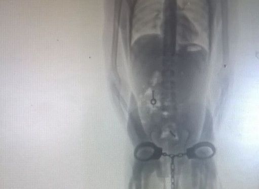 Lo que importa es lo de adentro