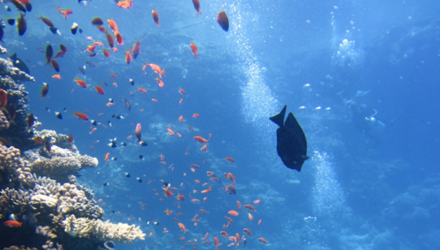 La biodiversidad importa