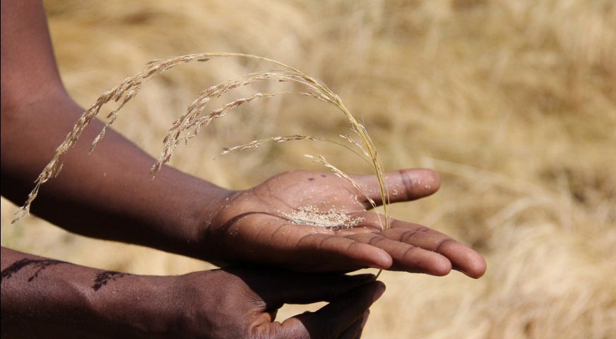 El secreto mejor guardado de Etiopía