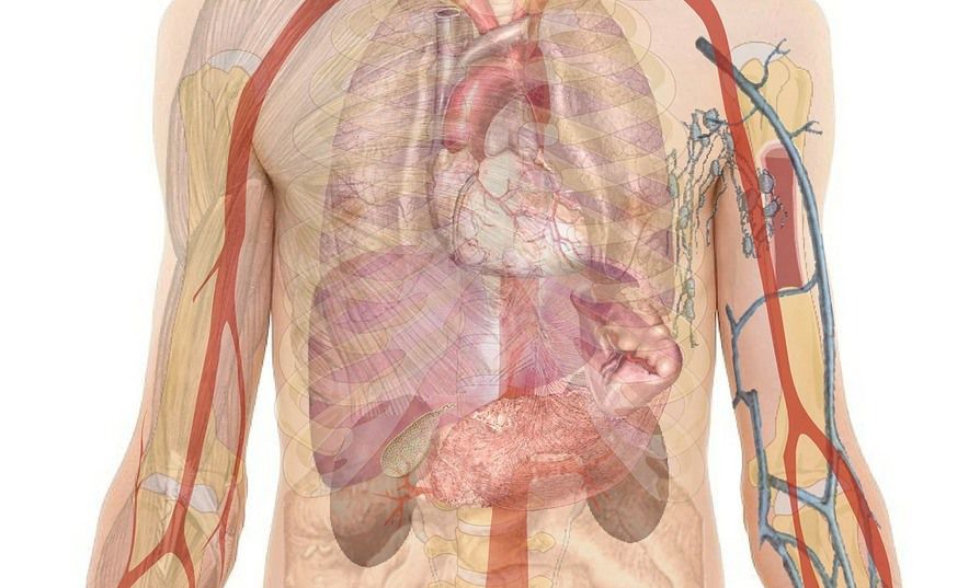 Avanza la impresión en 3D para reproducir tejido humano