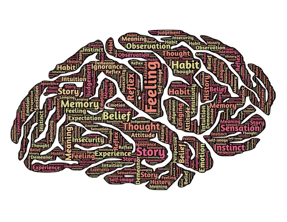 Especialistas en neuroinformática  buscan mapear el cerebro humano