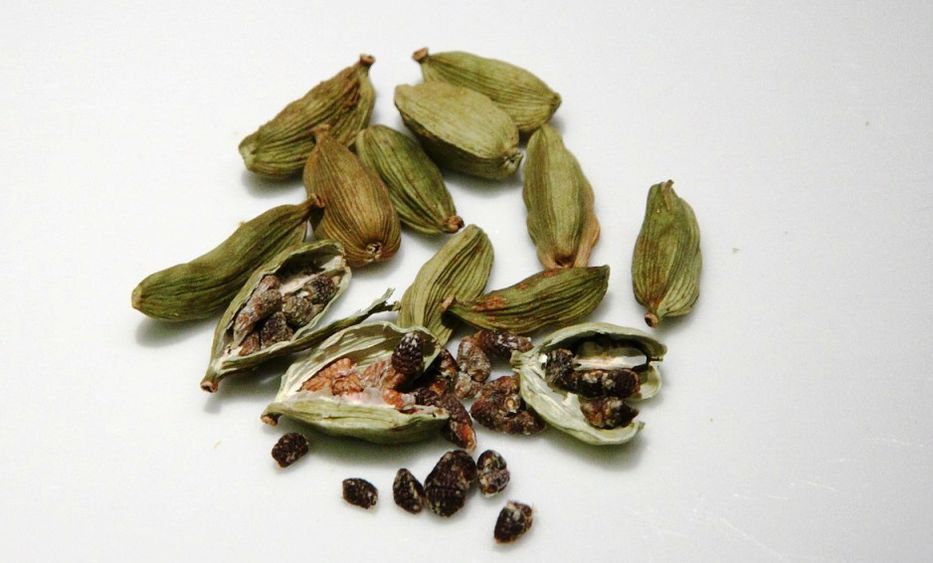 Aventuras en el paraíso