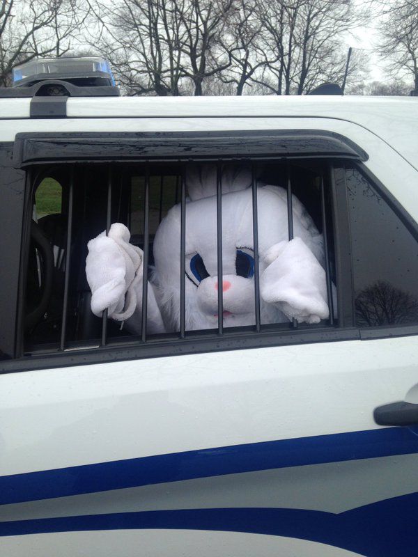 El brazo amargo de la ley