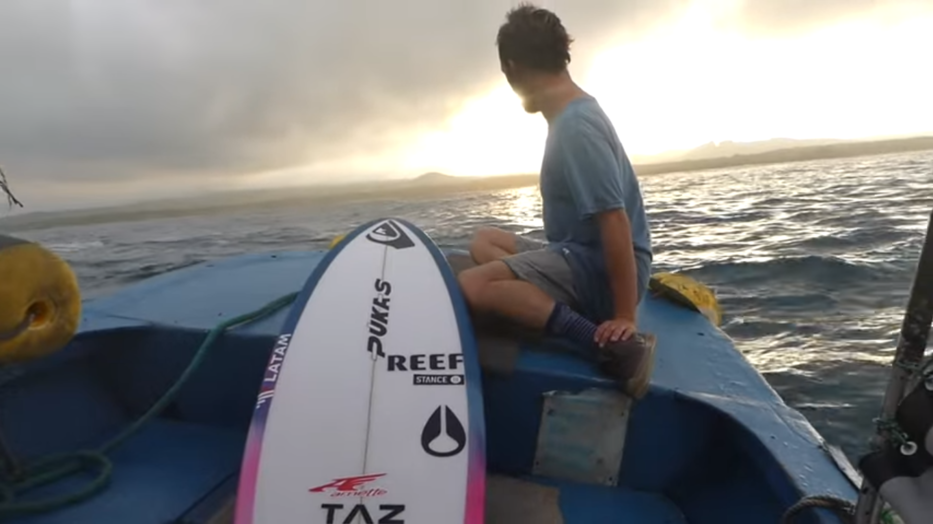 Mucho más que tortugas