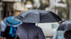 Día de juegos de mesa