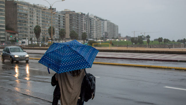 Poema de la cantidad