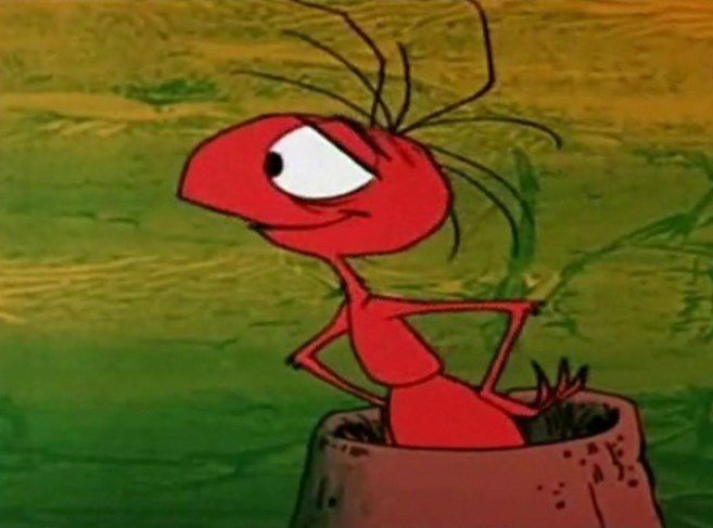 Hormiga de contrabando