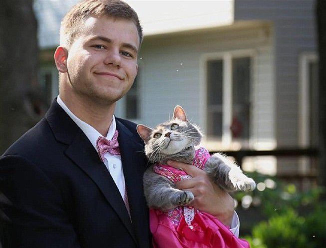 No consiguió que ninguna chica fuera con él al baile de graduación, entonces invitó a la gata