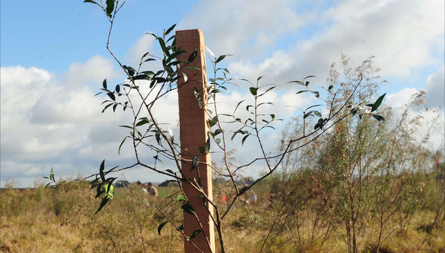 El que avisa no traiciona