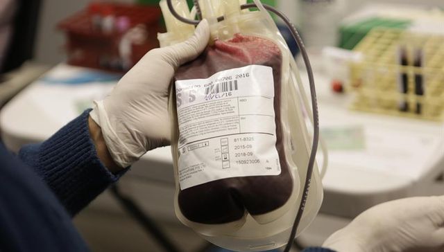 Porque la sangre es la vida