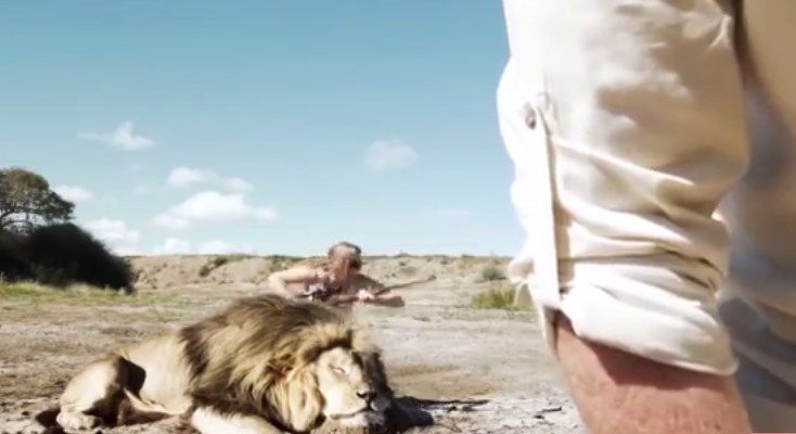 Top 74+ imagen cazadores atacados por leones