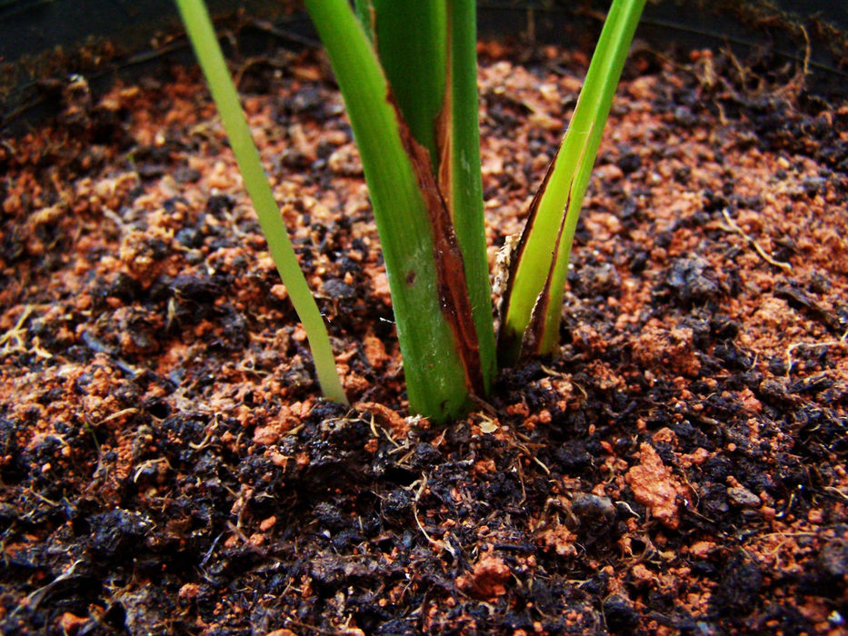 Una herramienta más