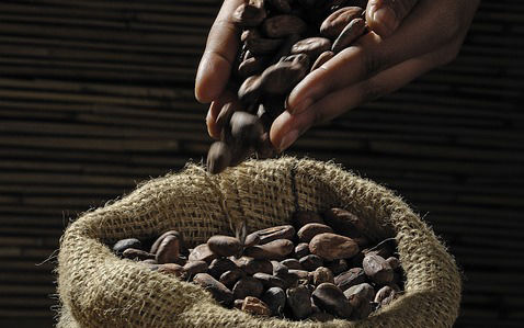 Chocolate por la noticia