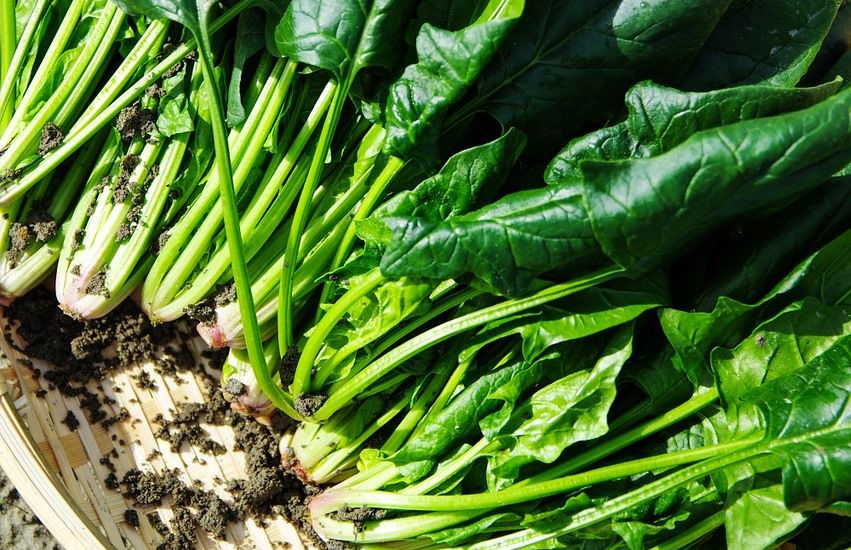 Cuando las aguas bajan turbias