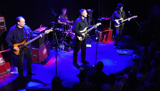 Guitarras de aves azules